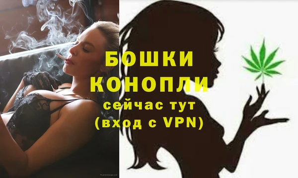 ПСИЛОЦИБИНОВЫЕ ГРИБЫ Нея