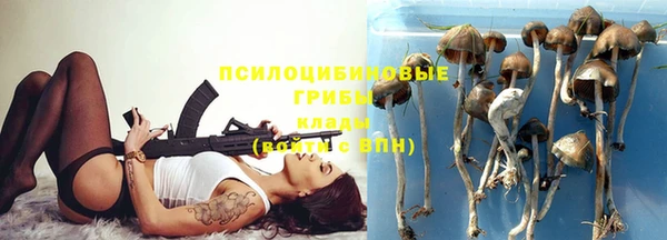 ПСИЛОЦИБИНОВЫЕ ГРИБЫ Нея