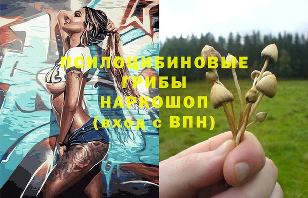 гидропоника Новозыбков