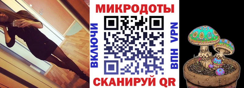 Галлюциногенные грибы Psilocybine cubensis  Коркино 